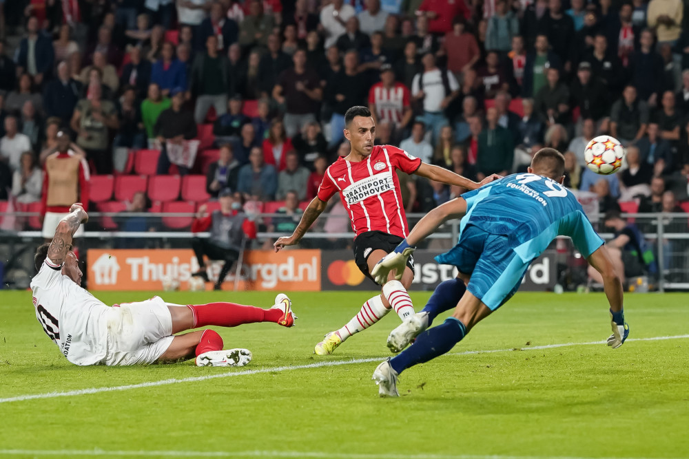 并在文章中 并在文章中